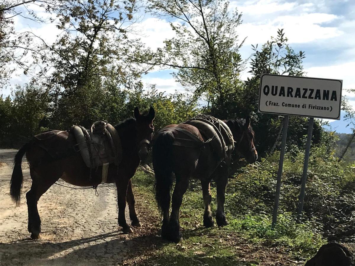 Agriturismo B&B Luna Di Quarazzana In Fivizzano Tuscany Exterior photo